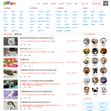淘狗网站