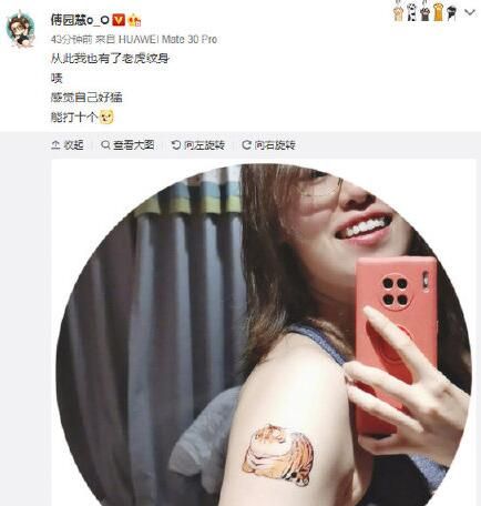 傅园慧晒老虎“纹身” 搞笑再现“洪荒少女”本性