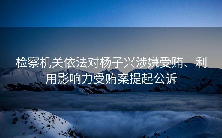 检察机关依法对杨子兴涉嫌受贿、利用影响力受贿案提起公诉