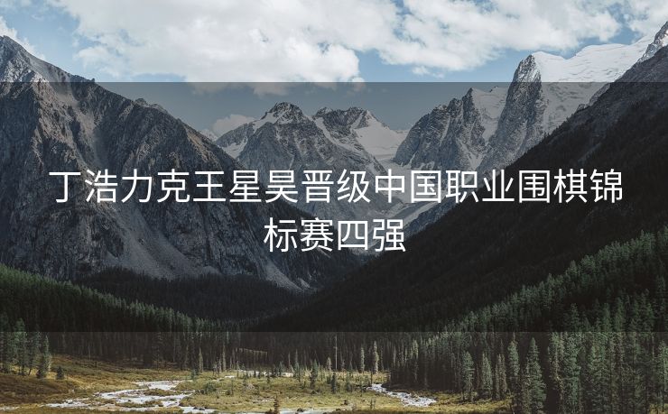 丁浩力克王星昊晋级中国职业围棋锦标赛四强
