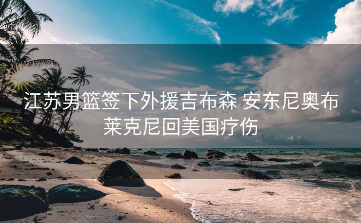 江苏男篮签下外援吉布森 安东尼奥布莱克尼回美国疗伤