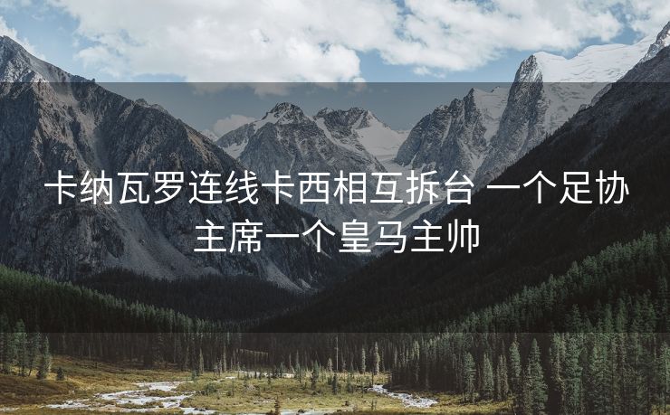 卡纳瓦罗连线卡西相互拆台 一个足协主席一个皇马主帅