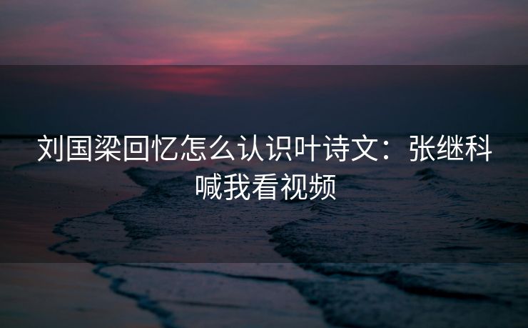 刘国梁回忆怎么认识叶诗文：张继科喊我看视频
