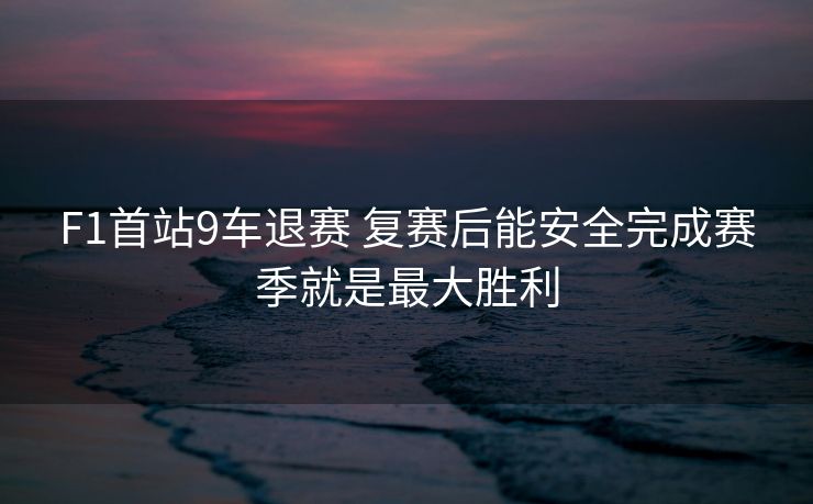 F1首站9车退赛 复赛后能安全完成赛季就是最大胜利