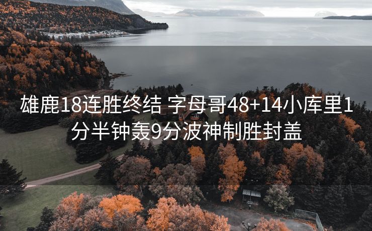 雄鹿18连胜终结 字母哥48+14小库里1分半钟轰9分波神制胜封盖