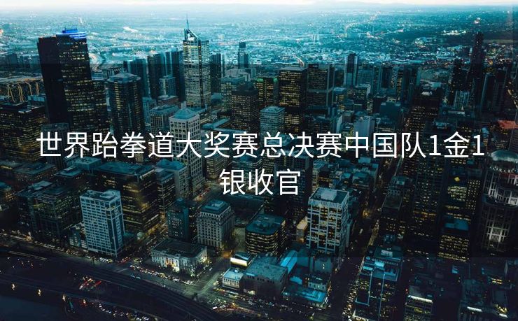 世界跆拳道大奖赛总决赛中国队1金1银收官