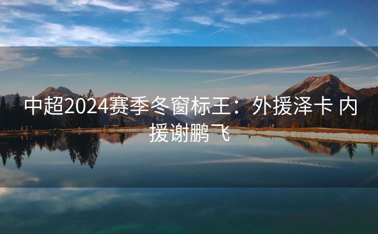 中超2024赛季冬窗标王：外援泽卡 内援谢鹏飞