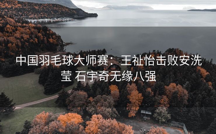 中国羽毛球大师赛：王祉怡击败安洗莹 石宇奇无缘八强