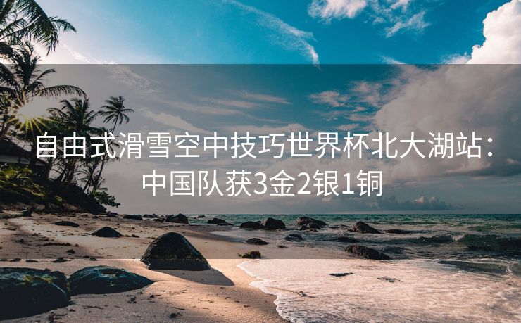 自由式滑雪空中技巧世界杯北大湖站：中国队获3金2银1铜