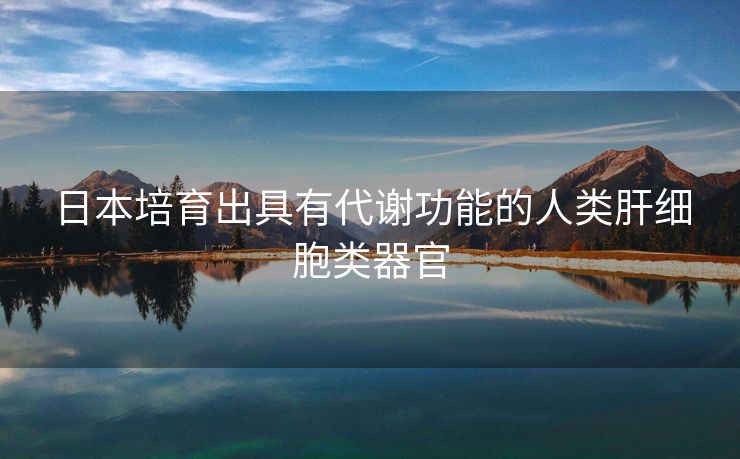 日本培育出具有代谢功能的人类肝细胞类器官