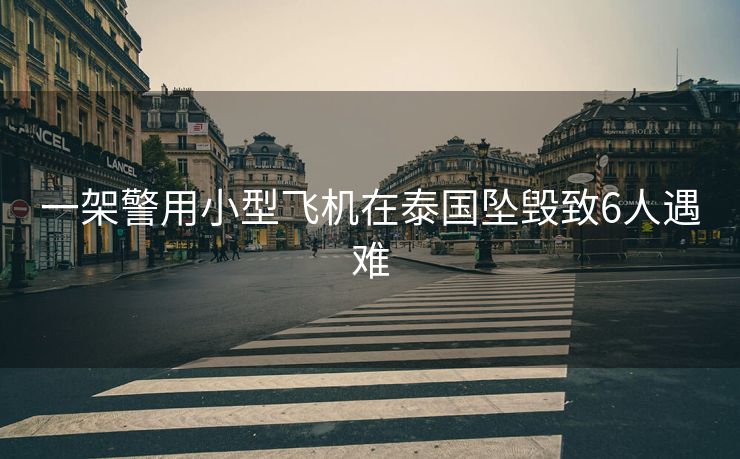 一架警用小型飞机在泰国坠毁致6人遇难