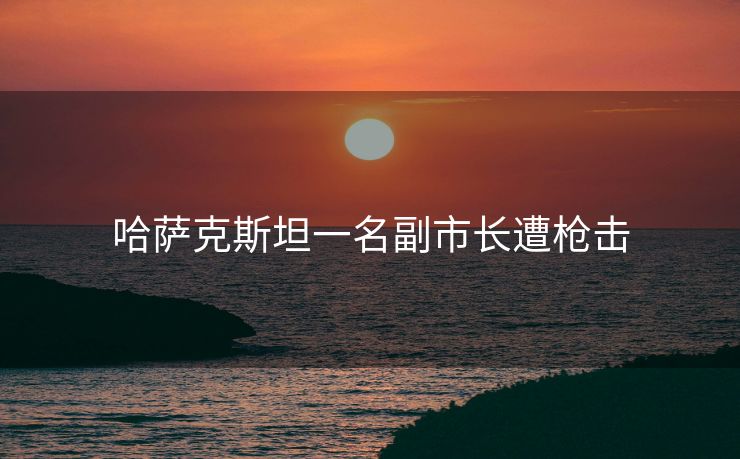 哈萨克斯坦一名副市长遭枪击