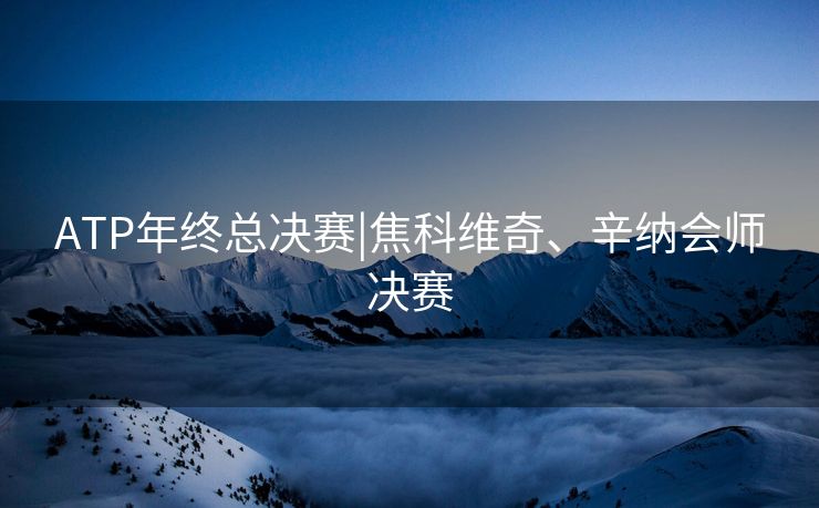 ATP年终总决赛|焦科维奇、辛纳会师决赛