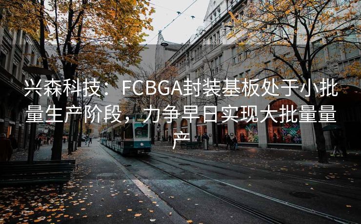 兴森科技：FCBGA封装基板处于小批量生产阶段，力争早日实现大批量量产