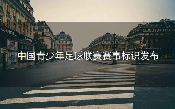 中国青少年足球联赛赛事标识发布