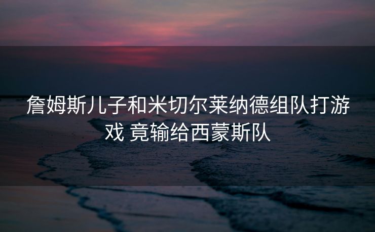 詹姆斯儿子和米切尔莱纳德组队打游戏 竟输给西蒙斯队