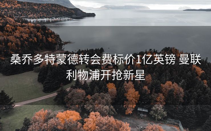 桑乔多特蒙德转会费标价1亿英镑 曼联利物浦开抢新星