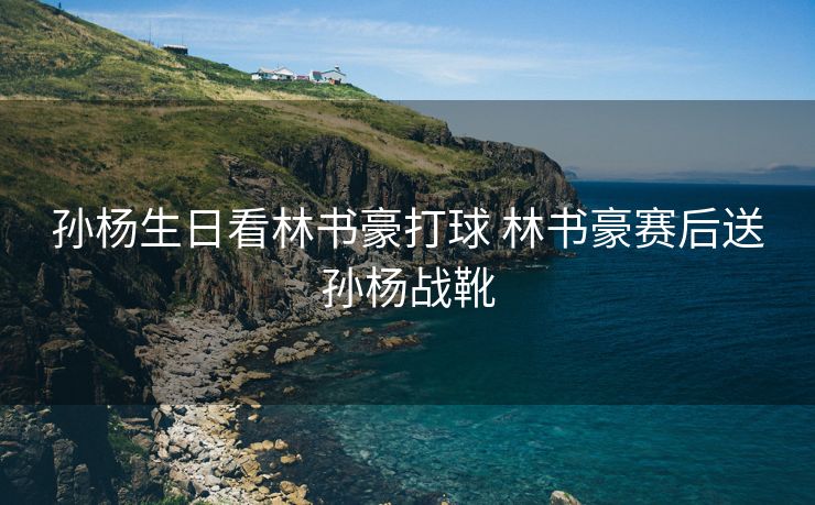 孙杨生日看林书豪打球 林书豪赛后送孙杨战靴