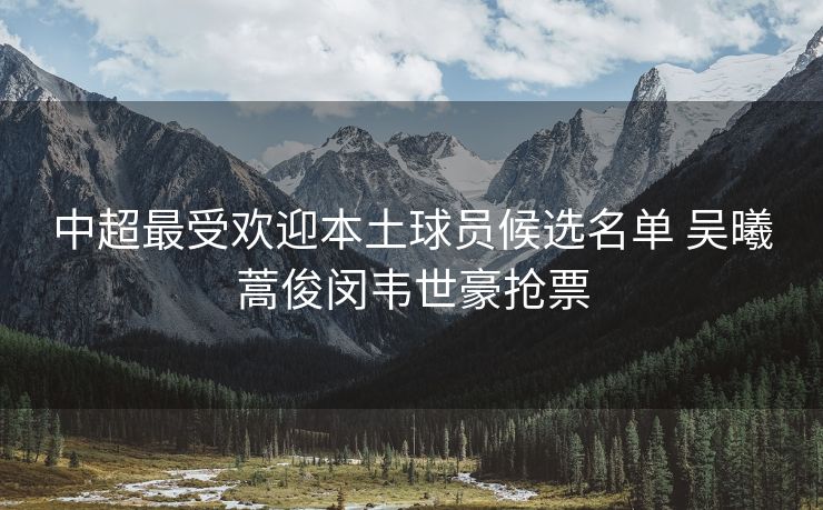 中超最受欢迎本土球员候选名单 吴曦蒿俊闵韦世豪抢票