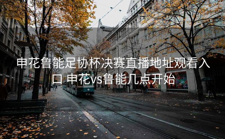 申花鲁能足协杯决赛直播地址观看入口 申花vs鲁能几点开始