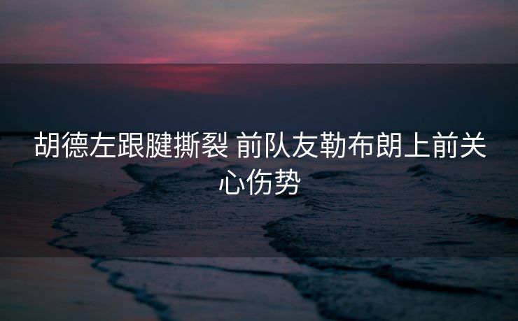 胡德左跟腱撕裂 前队友勒布朗上前关心伤势