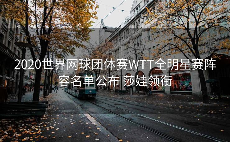 2020世界网球团体赛WTT全明星赛阵容名单公布 莎娃领衔