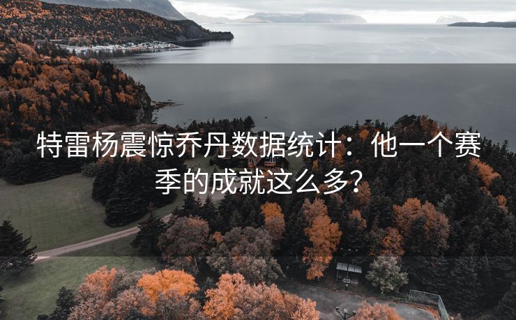 特雷杨震惊乔丹数据统计：他一个赛季的成就这么多？
