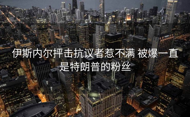 伊斯内尔抨击抗议者惹不满 被爆一直是特朗普的粉丝
