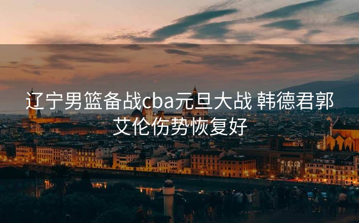 辽宁男篮备战cba元旦大战 韩德君郭艾伦伤势恢复好