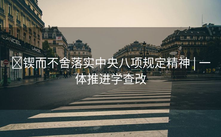 ​锲而不舍落实中央八项规定精神 | 一体推进学查改