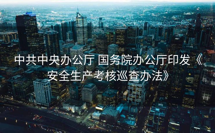 中共中央办公厅 国务院办公厅印发《安全生产考核巡查办法》
