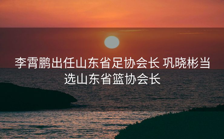 李霄鹏出任山东省足协会长 巩晓彬当选山东省篮协会长
