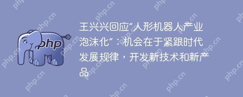 王兴兴回应“人形机器人产业泡沫化”：机会在于紧跟时代发展规律，开发新技术和新产品