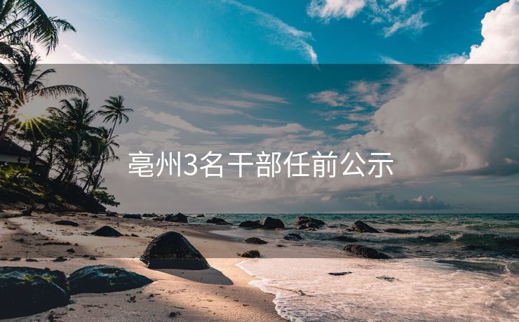 亳州3名干部任前公示