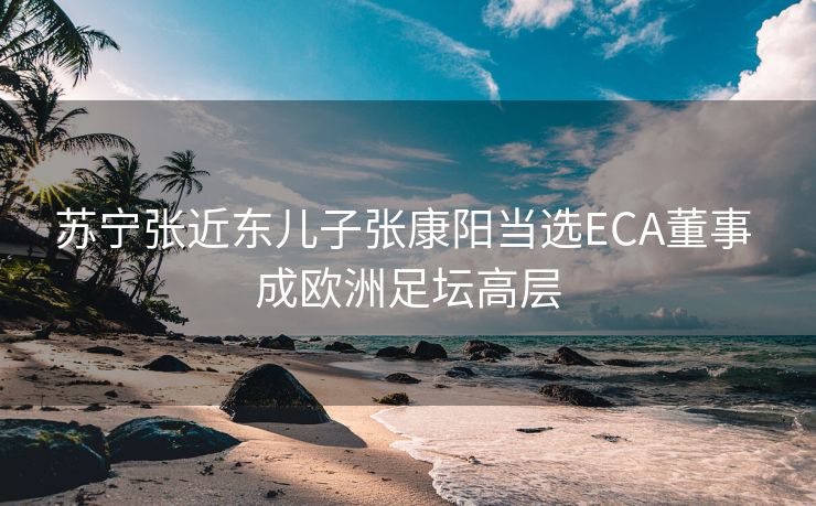 苏宁张近东儿子张康阳当选ECA董事 成欧洲足坛高层