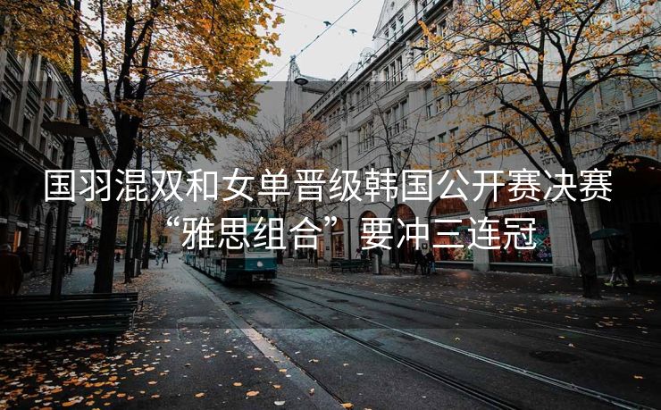 国羽混双和女单晋级韩国公开赛决赛 “雅思组合”要冲三连冠