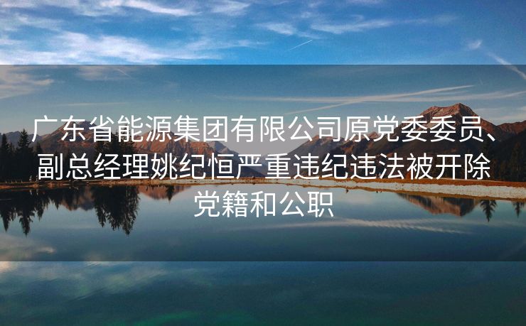 广东省能源集团有限公司原党委委员、副总经理姚纪恒严重违纪违法被开除党籍和公职