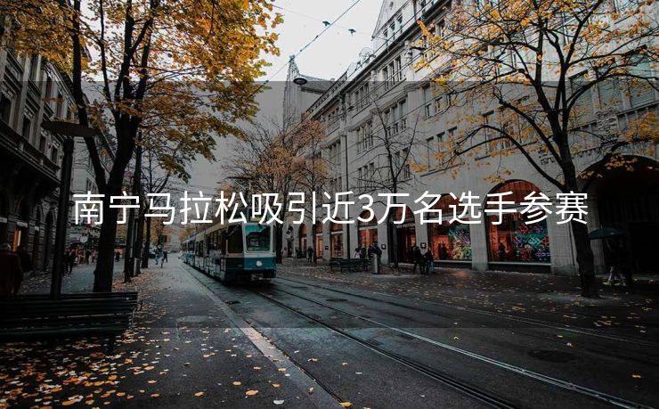 南宁马拉松吸引近3万名选手参赛