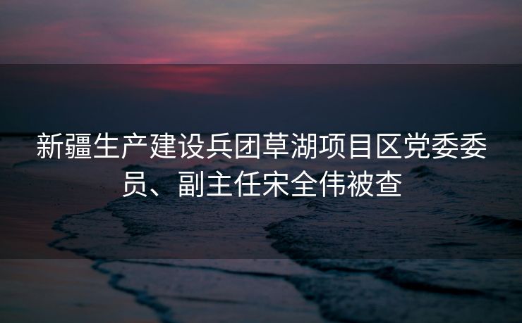 新疆生产建设兵团草湖项目区党委委员、副主任宋全伟被查