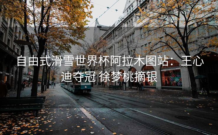 自由式滑雪世界杯阿拉木图站：王心迪夺冠 徐梦桃摘银
