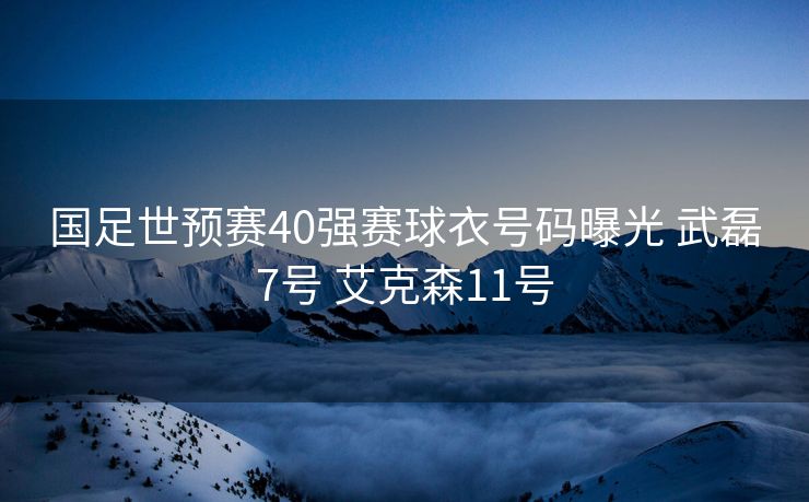 国足世预赛40强赛球衣号码曝光 武磊7号 艾克森11号