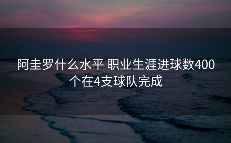 阿圭罗什么水平 职业生涯进球数400个在4支球队完成