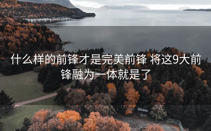 什么样的前锋才是完美前锋 将这9大前锋融为一体就是了