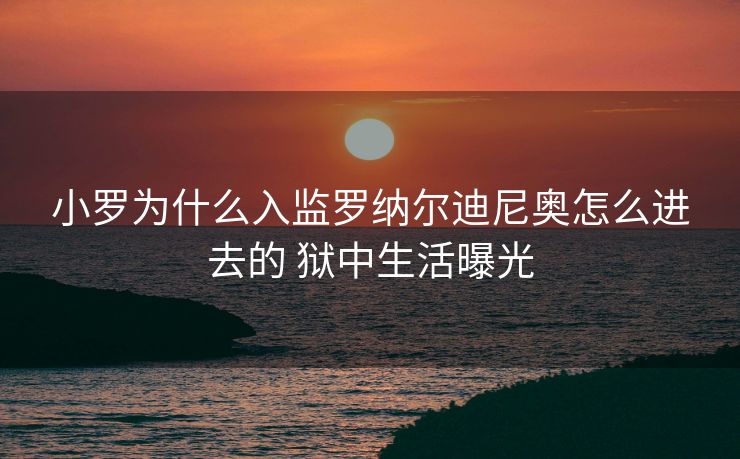 小罗为什么入监罗纳尔迪尼奥怎么进去的 狱中生活曝光