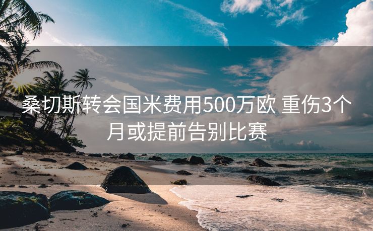 桑切斯转会国米费用500万欧 重伤3个月或提前告别比赛