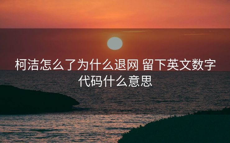 柯洁怎么了为什么退网 留下英文数字代码什么意思