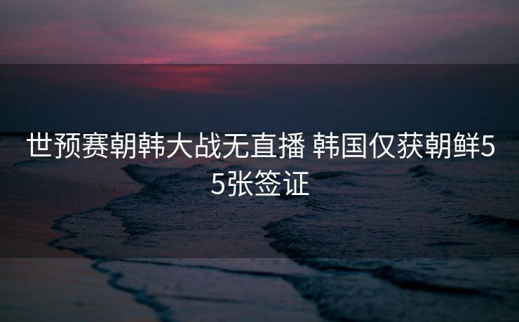 世预赛朝韩大战无直播 韩国仅获朝鲜55张签证