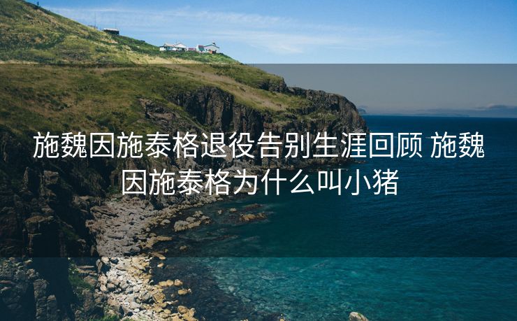 施魏因施泰格退役告别生涯回顾 施魏因施泰格为什么叫小猪