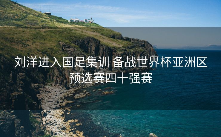 刘洋进入国足集训 备战世界杯亚洲区预选赛四十强赛