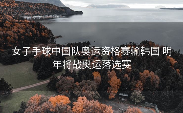 女子手球中国队奥运资格赛输韩国 明年将战奥运落选赛